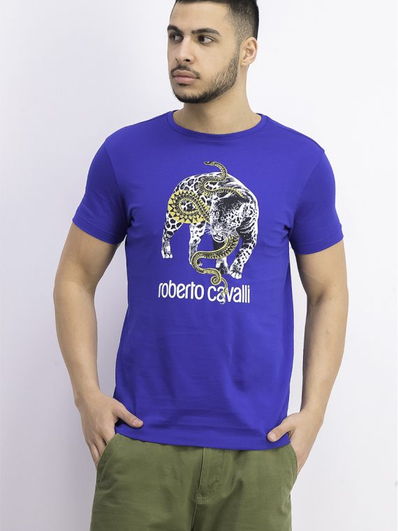 Mens Graphic Print T-Shirt Blue Combo