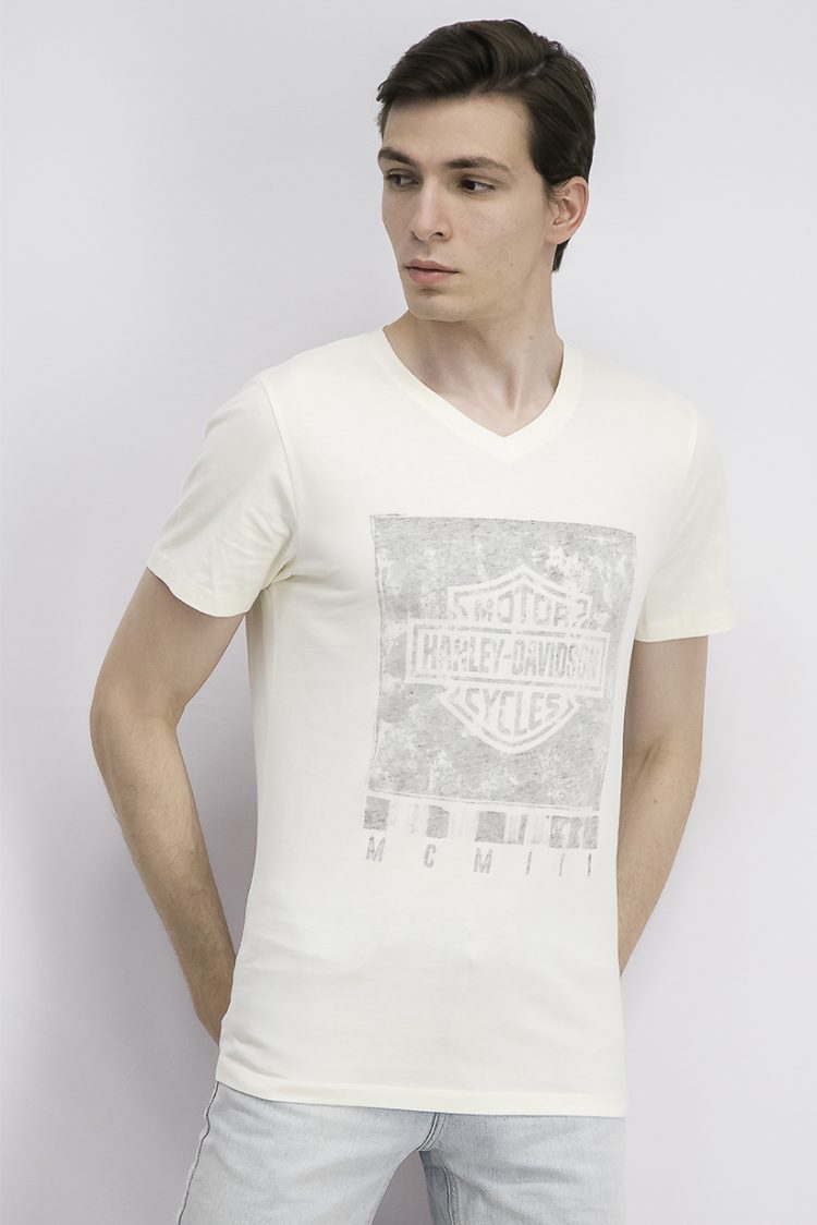 Mens Graphic V-neck T-shirt Tofu