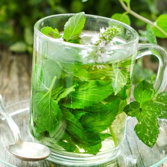 Buy Unlock The Secrets Of Herbs With Master Herbalist Course Mega Deals Now at Special Price in SaudiMegaDeals.com Unlock The Secrets Of Herbs With Master Herbalist Course Cosmetics Shop Online at Special Price from Saudi Mega Deals