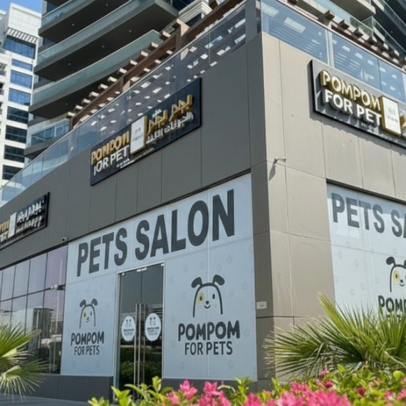 Full Grooming For Cats & Dogs – Small To Xl Breeds PETS Shop Online at Special Price from Saudi Mega Deals