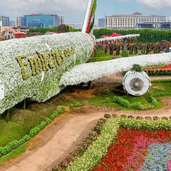 Buy Nature & Ocean Wonders: Dubai Miracle Garden + Dubai Aquarium Combo Mega Deals Now at Special Price in SaudiMegaDeals.com Nature & Ocean Wonders: Dubai Miracle Garden + Dubai Aquarium Combo Cosmetics Shop Online at Special Price from Saudi Mega Deals