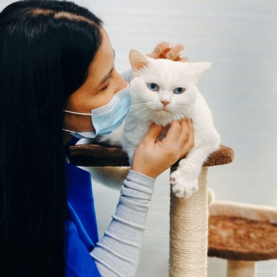 Buy Pet Grooming & Vaccine Care (Consultation, Pch/Dhppi, And Deworming) Mega Deals Now at Special Price in SaudiMegaDeals.com Pet Grooming & Vaccine Care (Consultation, Pch/Dhppi, And Deworming) PETS Shop Online at Special Price from Saudi Mega Deals