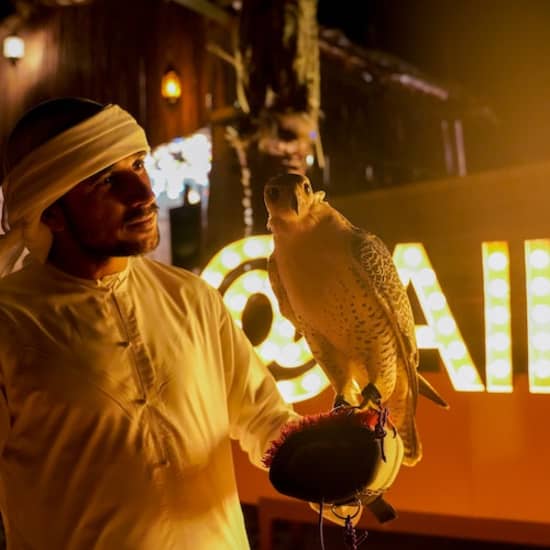 Premium Desert Safari: Camel Ride, Falconry, and BBQ Dinner at Dubai Mall, Dubai, United Arab Emirates Activities Shop Online at Special Price from Saudi Mega Deals
