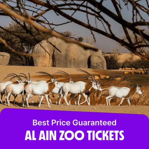 Al Ain Zoo Tickets – Experiences Activities & Sightseeing Shop Online at Special Price from Saudi Mega Deals