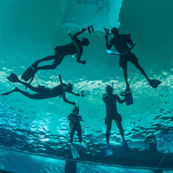 Deep Dive Dubai Surface Snorkeling Experience – Water Sports Activities & Sightseeing Shop Online at Special Price from Saudi Mega Deals