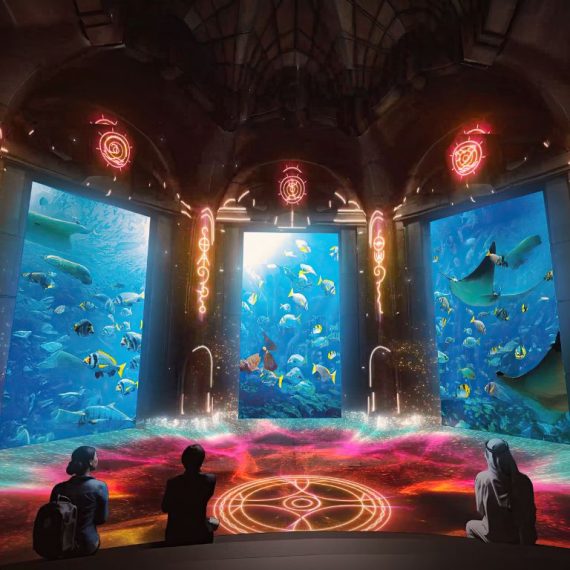 Lost World Aquarium – As known as Lost Chambers Aquarium – Experiences Activities & Sightseeing Shop Online at Special Price from Saudi Mega Deals