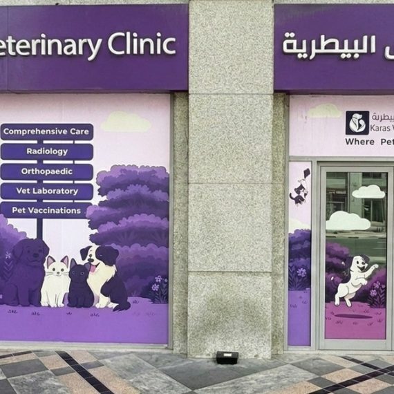 Basic Or Full Grooming For Small Or Medium Dog, Cat Or Large Dog PETS Shop Online at Special Price from Saudi Mega Deals
