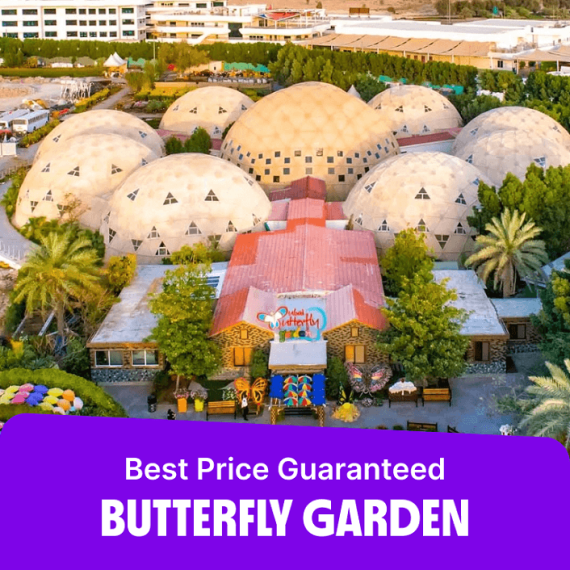 Butterfly Garden – Must-see attractions Activities & Sightseeing Shop Online at Special Price from Saudi Mega Deals