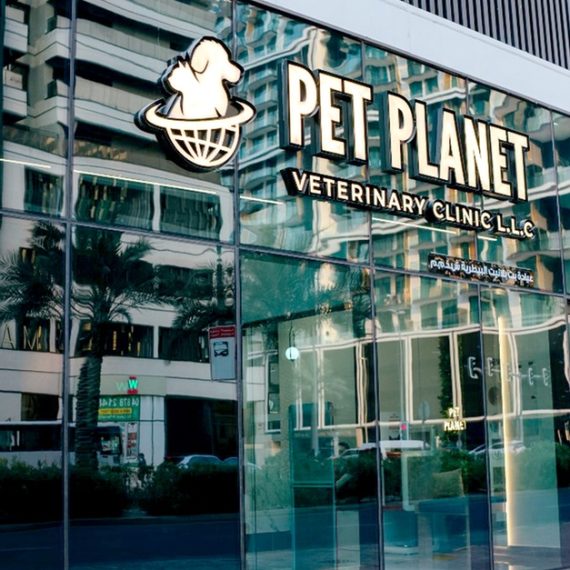 Full Grooming For Cat Or Small Dog, Medium Or Large Dog PETS Shop Online at Special Price from Saudi Mega Deals