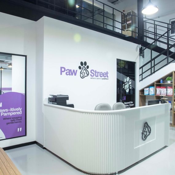 Professional Dog & Cat Grooming For All Sizes PETS Shop Online at Special Price from Saudi Mega Deals