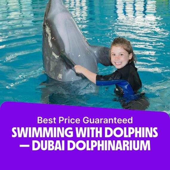 Swimming With Dolphins – Dubai Dolphinarium – Dubai Dolphinarium Activities & Sightseeing Shop Online at Special Price from Saudi Mega Deals