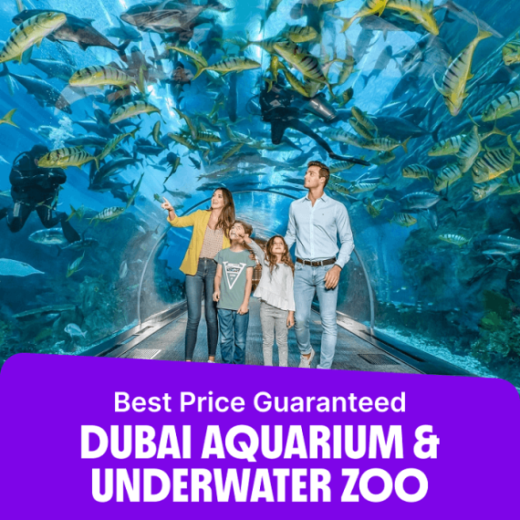 dubai aquarium – Experiences Activities & Sightseeing Shop Online at Special Price from Saudi Mega Deals