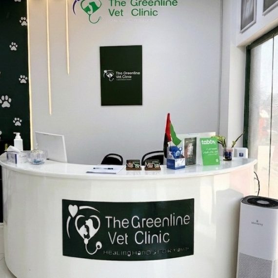 Annual Pet Vaccinations & Full Health Check-ups For Cats & Dogs PETS Shop Online at Special Price from Saudi Mega Deals