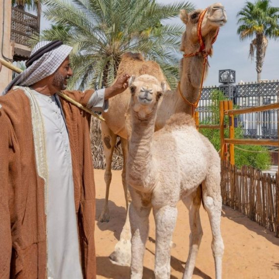 Emirati Hospitality Experience (Breakfast) – Sightseeing and Tours Activities & Sightseeing Shop Online at Special Price from Saudi Mega Deals