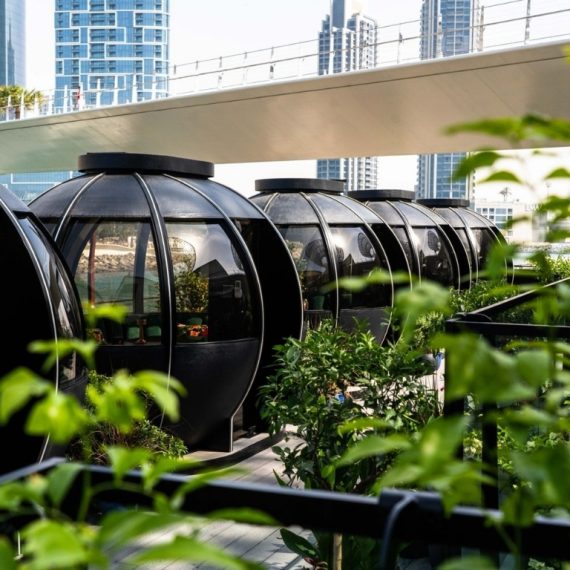 Exclusive 2-Course Festive Brunch – The Pods – Top-Rated Attractions Activities & Sightseeing Shop Online at Special Price from Saudi Mega Deals