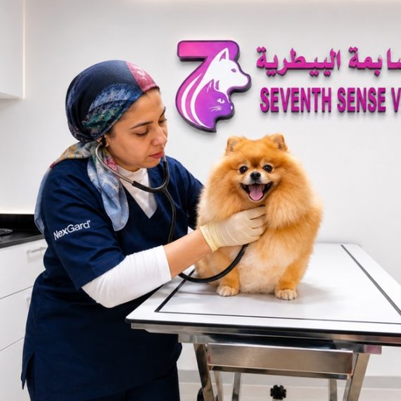 Professional Veterinary Care And Annual Pet Wellness Packages PETS Shop Online at Special Price from Saudi Mega Deals