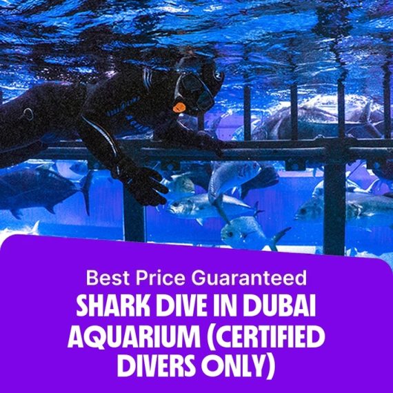 Shark Dive in Dubai Aquarium (Certified Divers Only) – Recently Added Experiences Activities & Sightseeing Shop Online at Special Price from Saudi Mega Deals