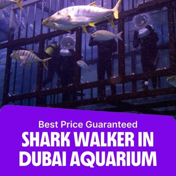Shark Walker in Dubai Aquarium – Recently Added Experiences Activities & Sightseeing Shop Online at Special Price from Saudi Mega Deals
